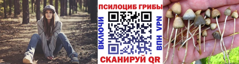 Псилоцибиновые грибы Cubensis  Электросталь 